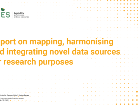 innovative data sources for research purpose SPES Horizon beyond GDP