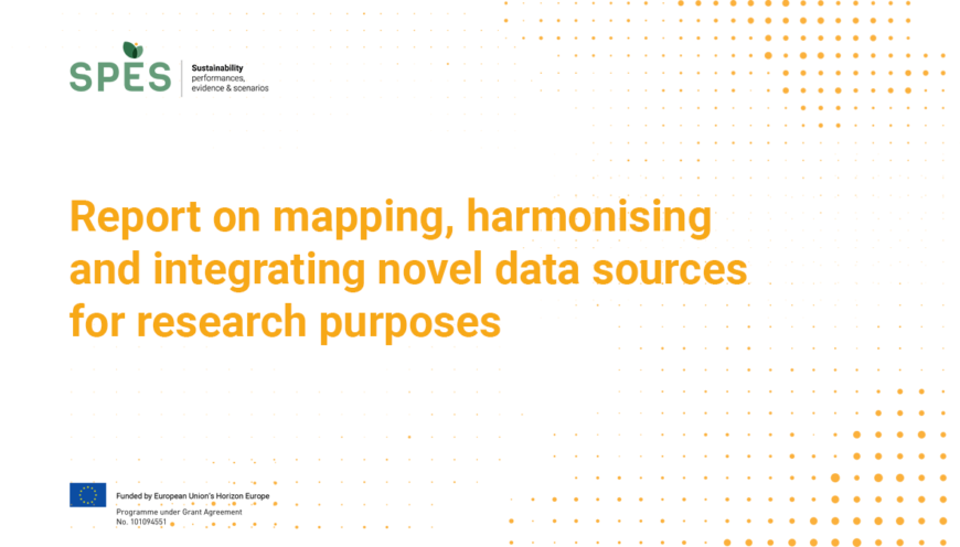 innovative data sources for research purpose SPES Horizon beyond GDP